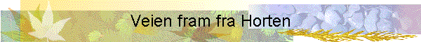 Veien fram fra Horten