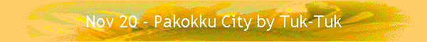 Nov 20 - Pakokku City by Tuk-Tuk