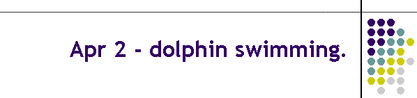 Apr 2 - dolphin swimming.