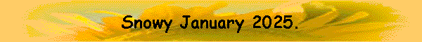 Snowy January 2025.